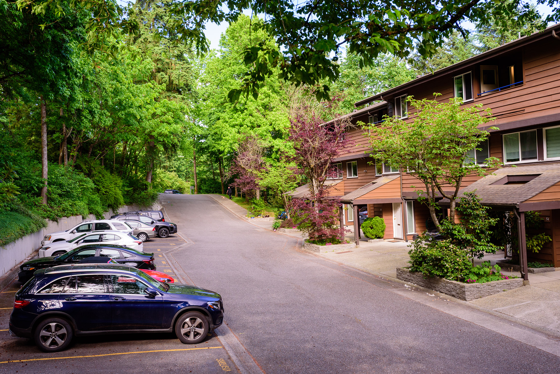Co-op housing structures nestled in forest