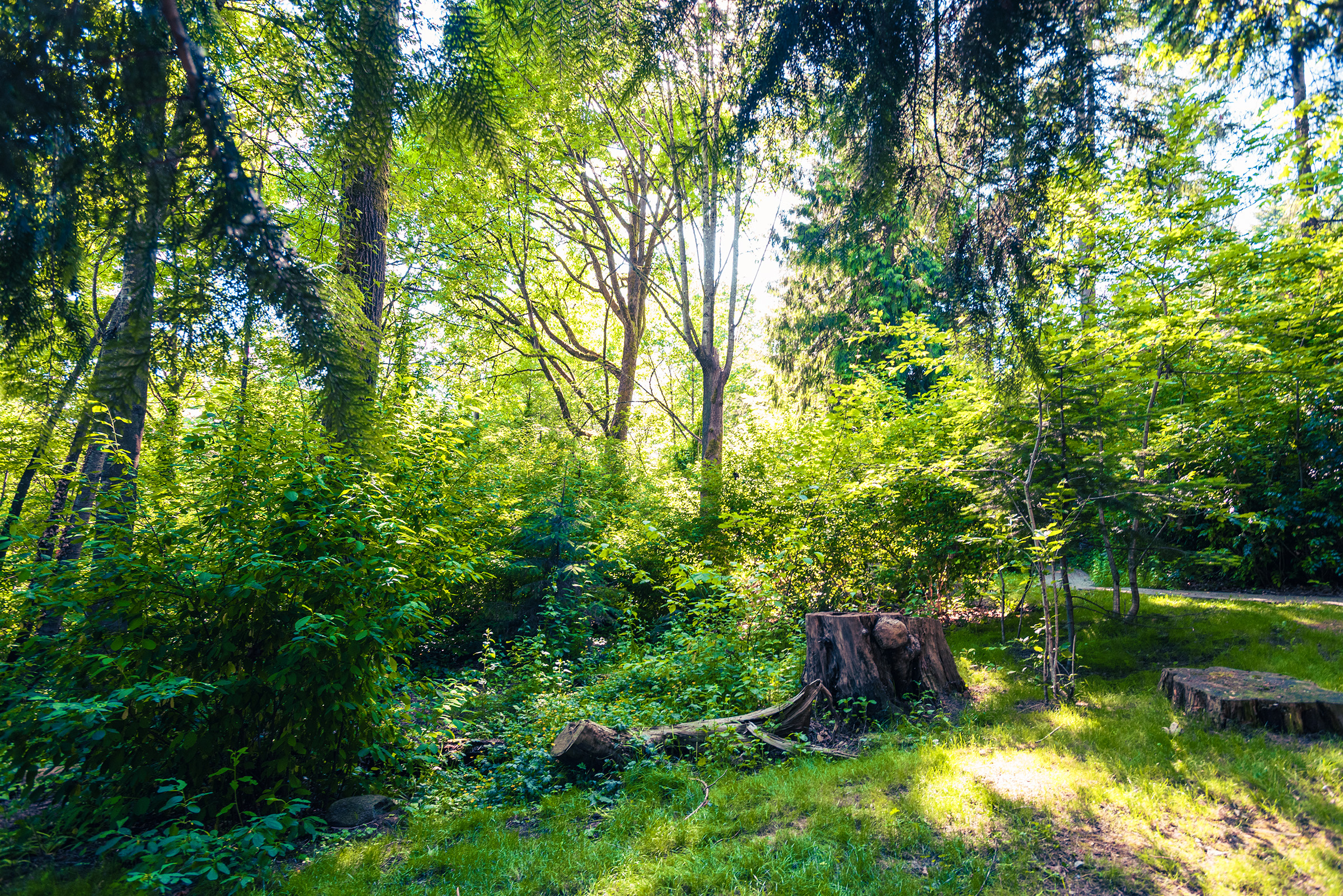 Beautiful Park-like setting in the heart of North Burnaby
